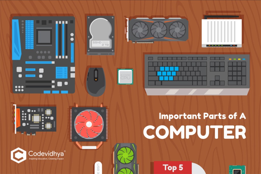 Picture of: Important Parts of A Computer – Top  – Codevidhya